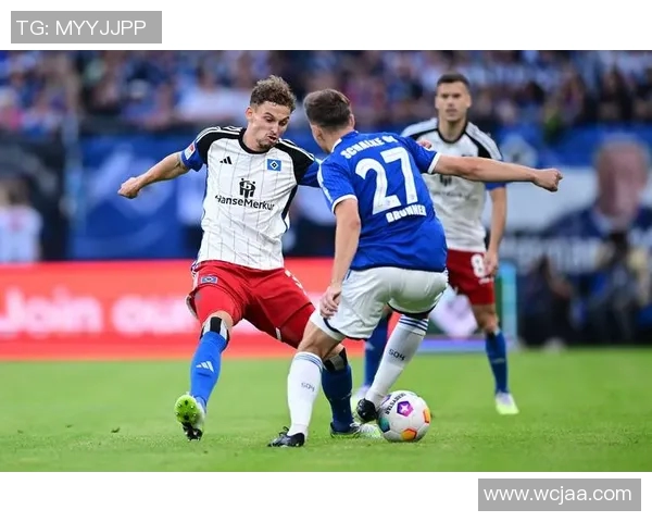 霍芬海姆：德甲赛场上的一支独特之师